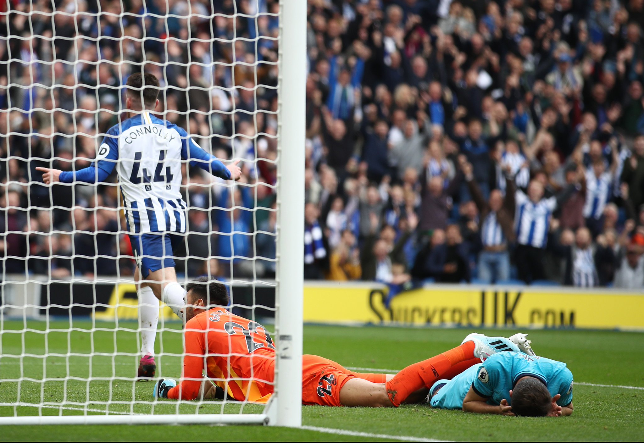 对于公牛而 对于公牛而