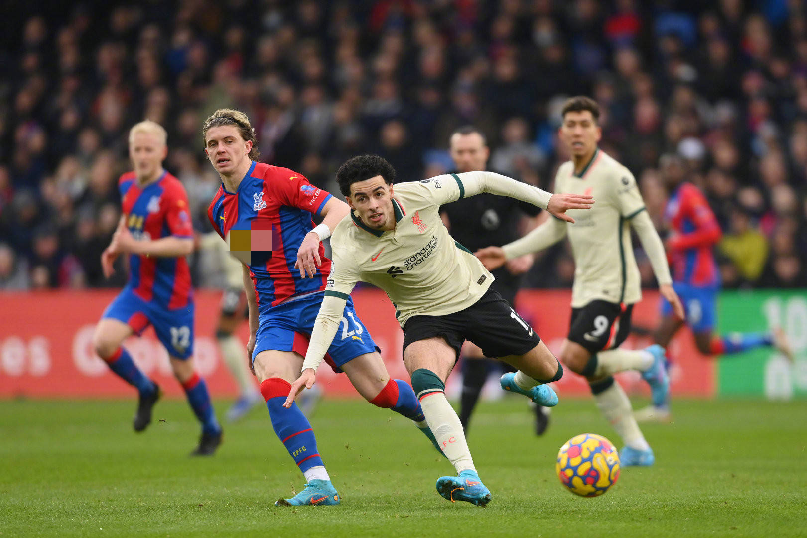 化中影响着 化中影响着